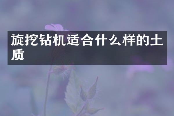 旋挖鉆機(jī)適合什么樣的土質(zhì)