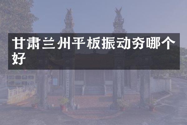 甘肅蘭州平板振動夯哪個好