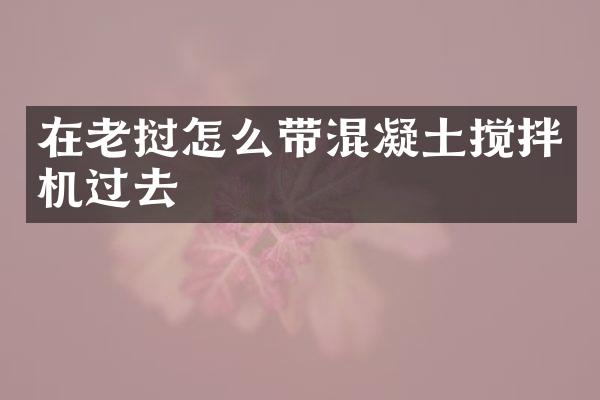 在老挝怎么带混凝土搅拌机过去