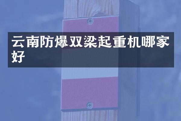 云南防爆双梁起重机哪家好