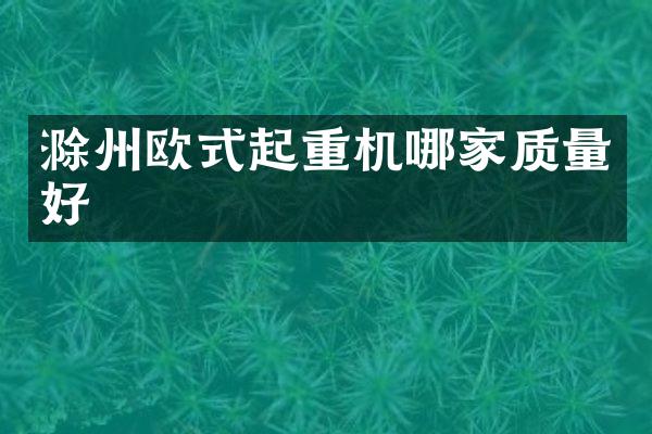 滁州歐式起重機哪家質(zhì)量好