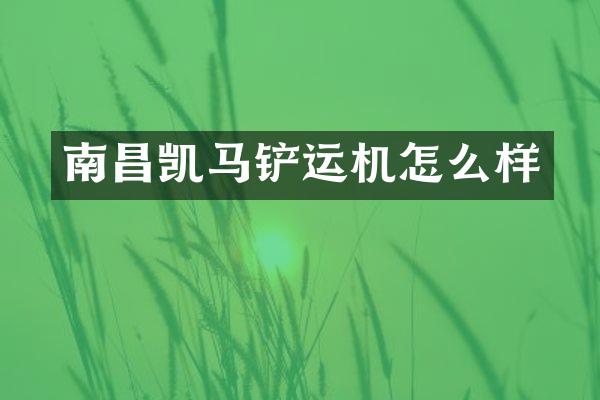 南昌凱馬鏟運(yùn)機(jī)怎么樣