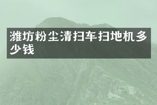 濰坊粉塵清掃車掃地機(jī)多少錢