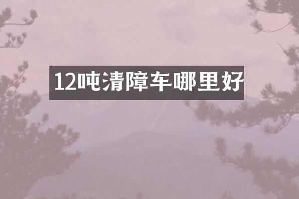 12噸清障車哪里好