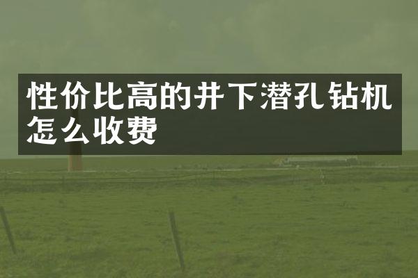 性價比高的井下潛孔鉆機怎么收費