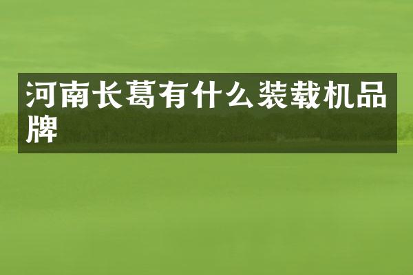 河南長葛有什么裝載機品牌