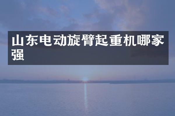 山東電動旋臂起重機哪家強