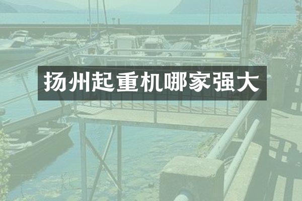 揚州起重機哪家強大