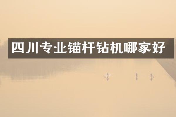 四川專(zhuān)業(yè)錨桿鉆機(jī)哪家好