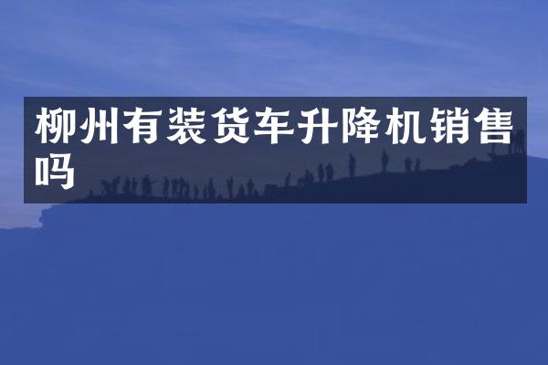 柳州有裝貨車升降機銷售嗎