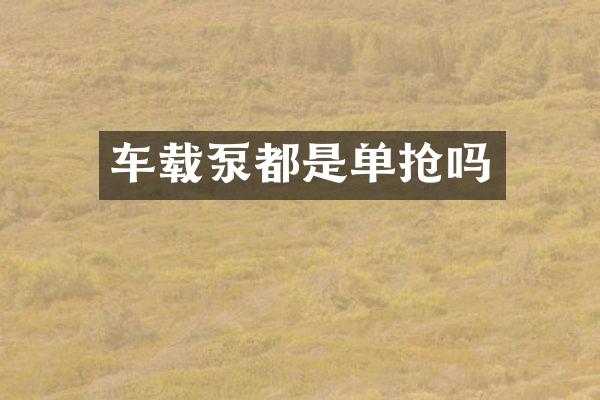 車載泵都是單搶嗎