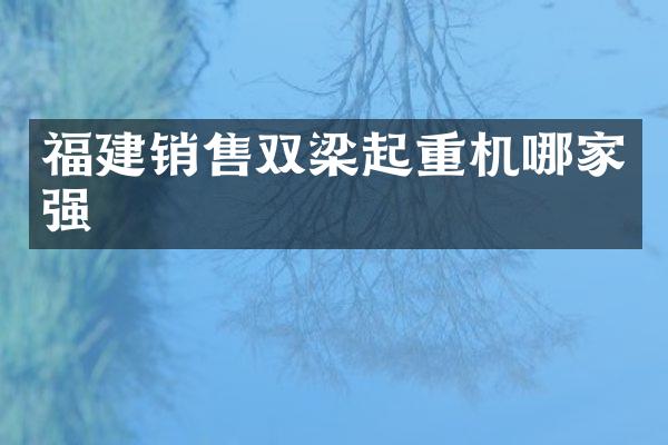 福建銷售雙梁起重機(jī)哪家強(qiáng)