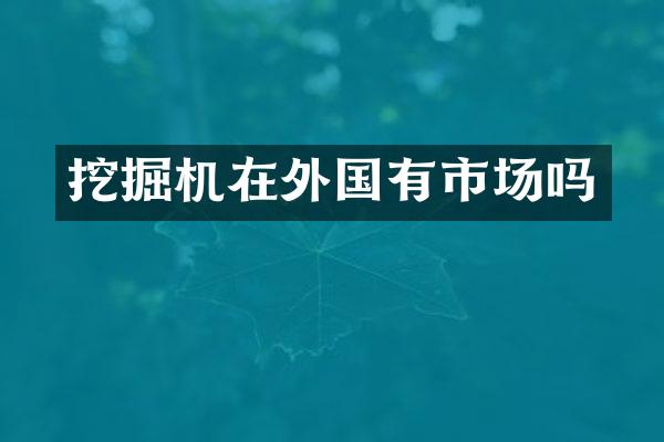 挖掘机在外国有市场吗