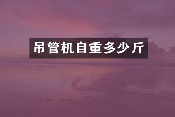 吊管机自重多少斤