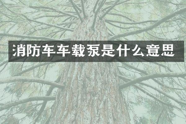 消防车车载泵是什么意思
