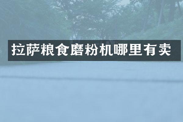 拉薩糧食磨粉機(jī)哪里有賣