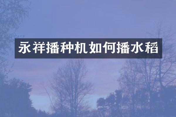 永祥播種機如何播水稻