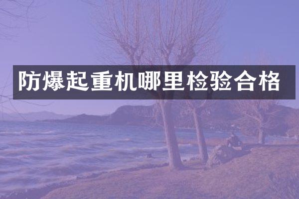防爆起重機(jī)哪里檢驗(yàn)合格