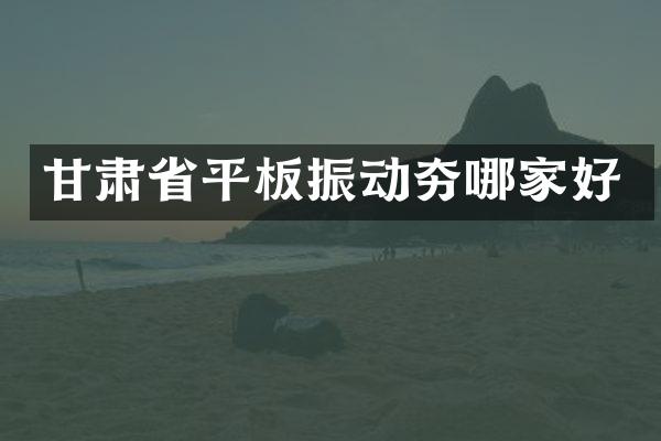 甘肃省平板振动夯哪家好