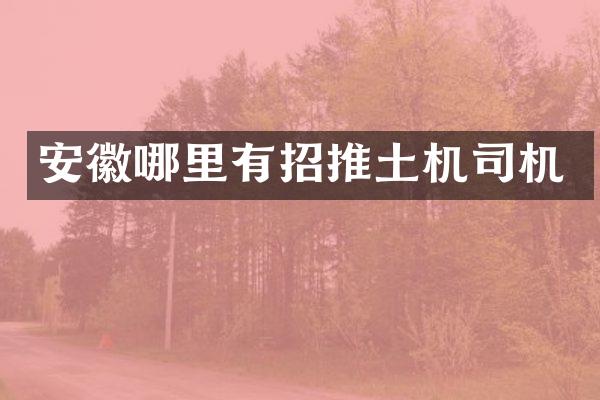安徽哪里有招推土機(jī)司機(jī)