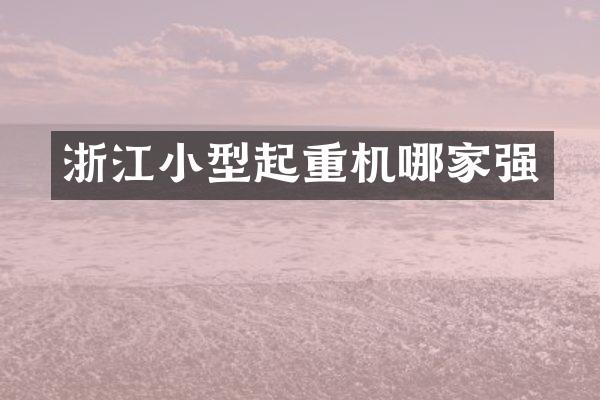 浙江小型起重機(jī)哪家強(qiáng)
