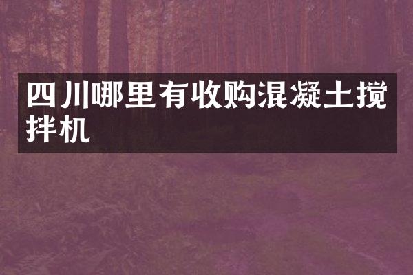 四川哪里有收購混凝土攪拌機(jī)
