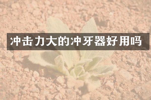 沖擊力大的沖牙器好用嗎