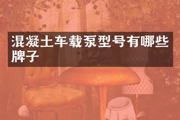 混凝土车载泵型号有哪些牌子