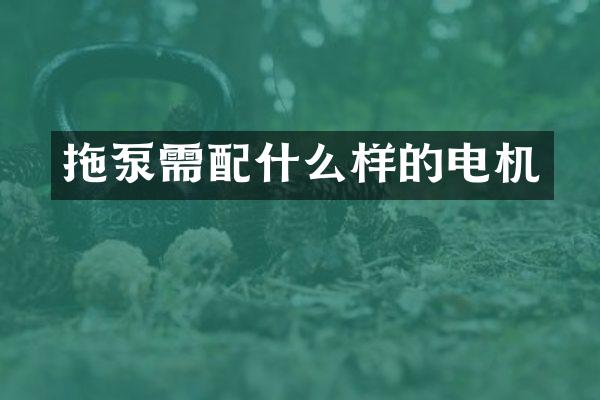 拖泵需樣的電機