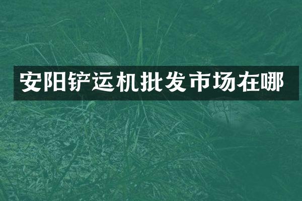 安陽(yáng)鏟運(yùn)機(jī)批發(fā)市場(chǎng)在哪