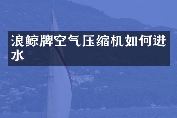 浪鯨牌空氣壓縮機(jī)如何進(jìn)水