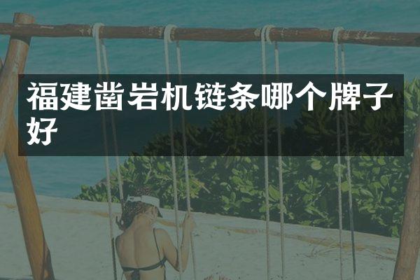 福建凿岩机链条哪个牌子好