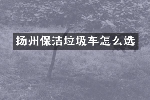 扬州保洁垃圾车怎么选