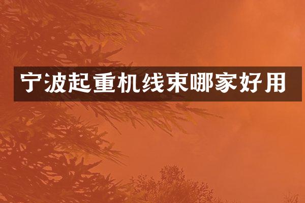 宁波起重机线束哪家好用