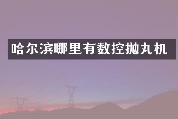 哈爾濱哪里有數(shù)控拋丸機(jī)