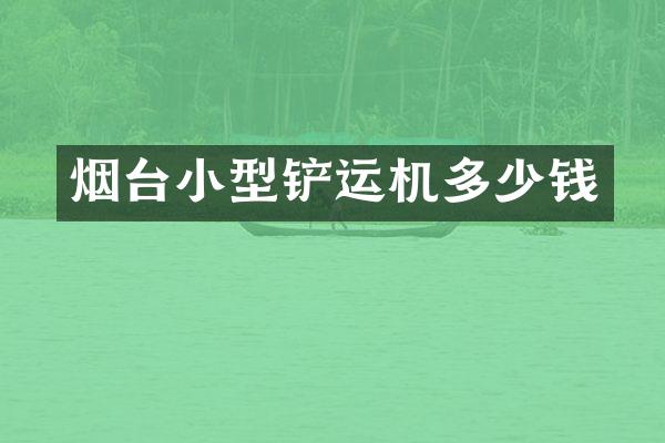 烟台小型铲运机多少钱