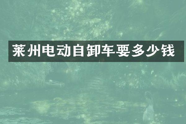 莱州电动自卸车要多少钱