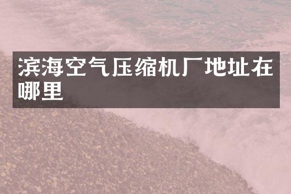 滨海空气压缩机厂地址在哪里
