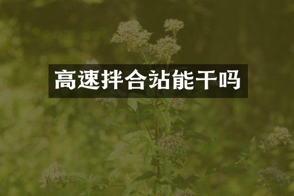 高速拌合站能干嗎