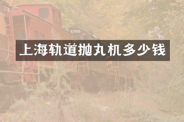 上海轨道抛丸机多少钱