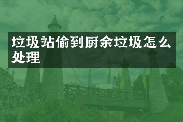 垃圾站偷到廚余垃圾怎么處理
