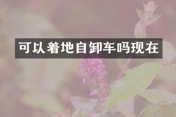 可以著地自卸車嗎現(xiàn)在