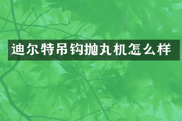 迪爾特吊鉤拋丸機(jī)怎么樣