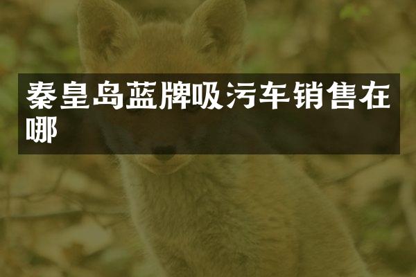 秦皇島藍牌吸污車銷售在哪