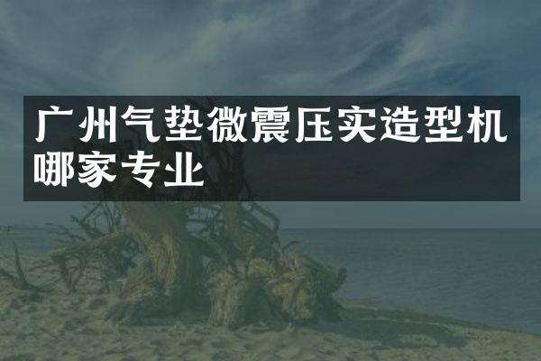 廣州氣墊微震壓實造型機哪家專業(yè)
