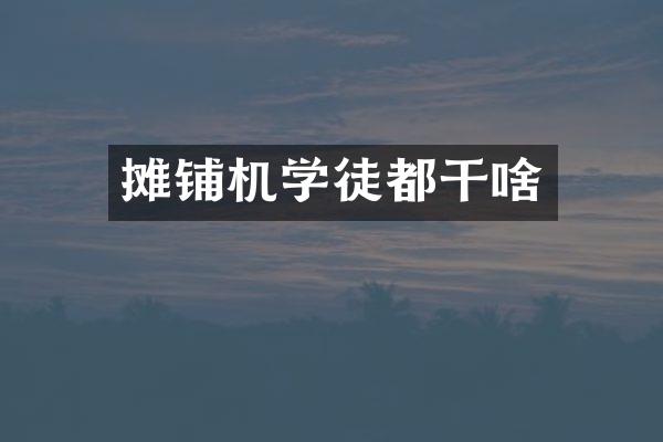 攤鋪機(jī)學(xué)徒都干啥