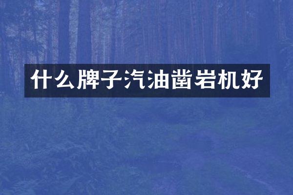 什么牌子汽油鑿巖機(jī)好