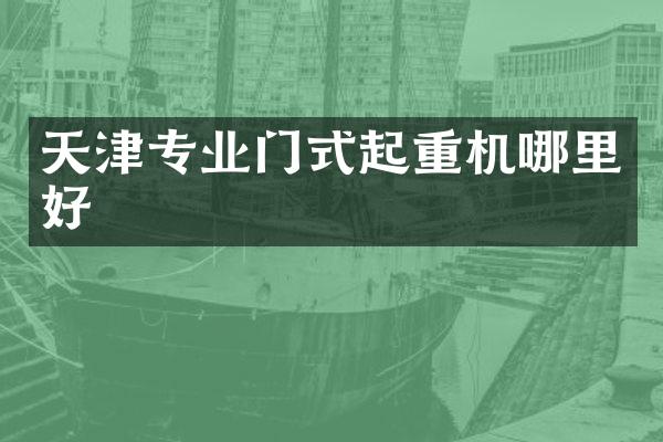 天津专业门式起重机哪里好