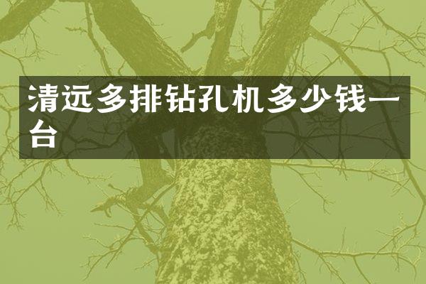 清遠(yuǎn)多排鉆孔機(jī)多少錢一臺(tái)