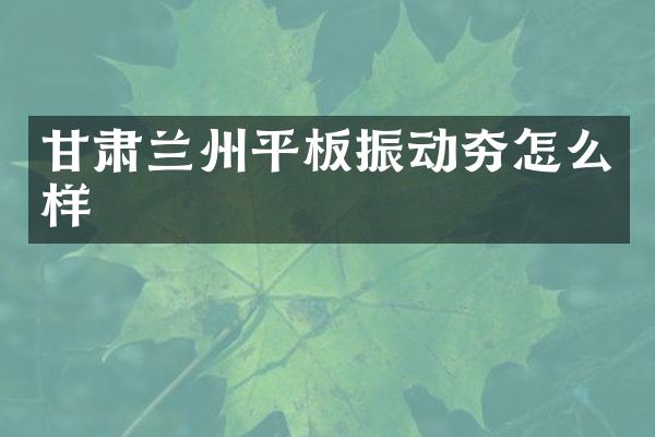 甘肅蘭州平板振動(dòng)夯怎么樣